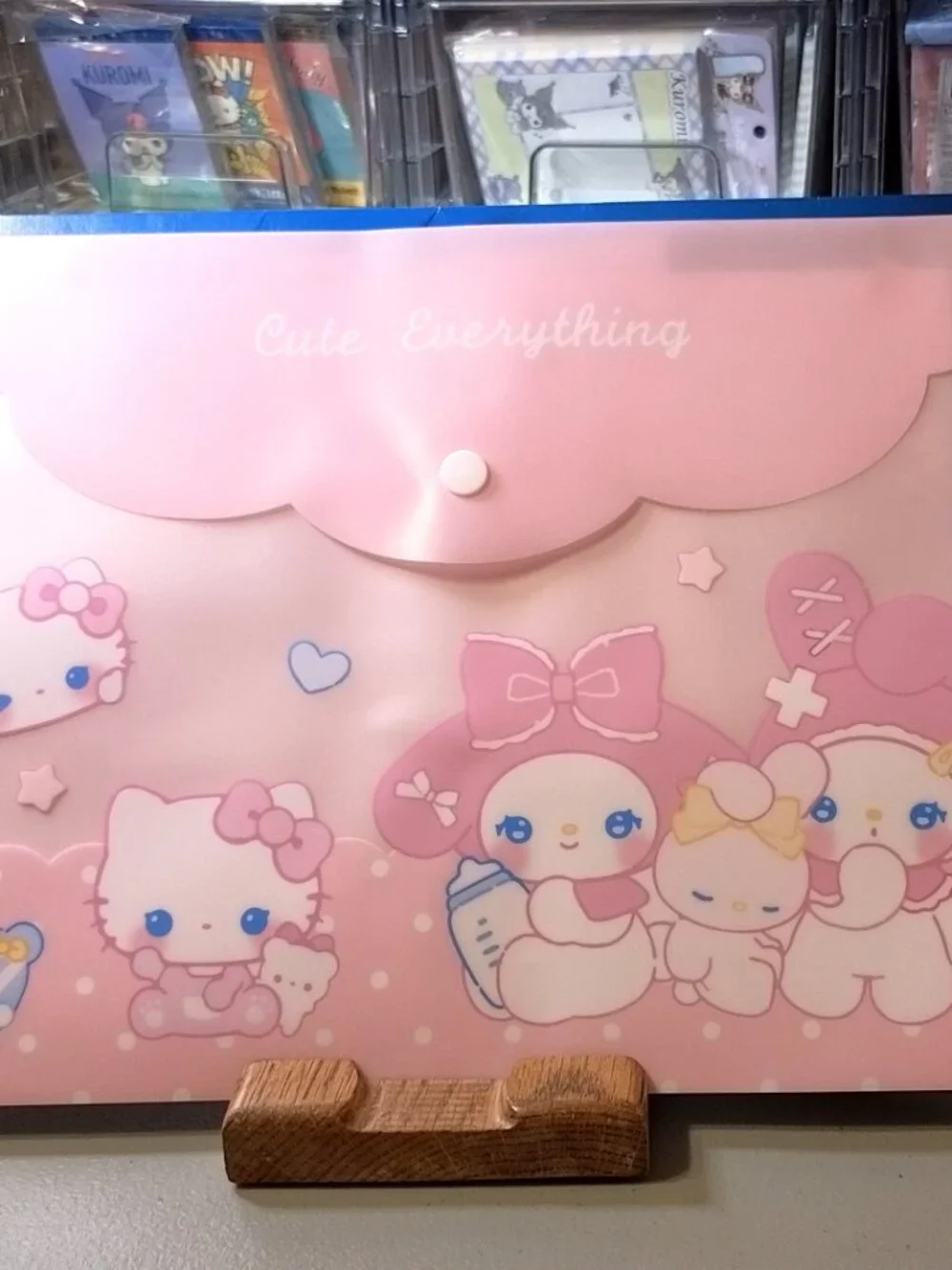 2756 Thickened Plastic Document Folder with Snap Closure Hello Kitty Charters